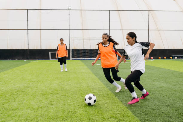 家族来说是 家族来说是